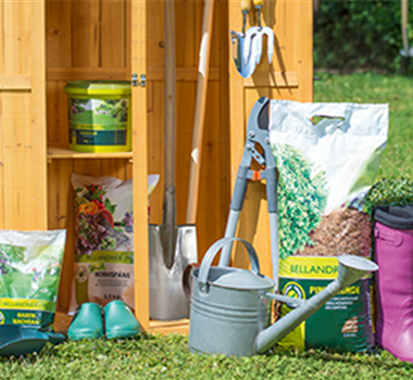 Allgemeine Gartenarbeit im Mai